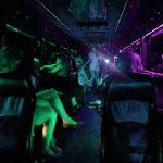 party inside a limousine